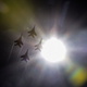 Russian aerobatic group Strizhi (Swifts) performs on MIG-29 jet fighters on rehearsal day for the MAKS-2015, the International Aviation and Space Show, in Zhukovsky, outside Moscow, on Aug. 21, 2015. (Kirill Kudryavtsev/AFP/Getty Images)